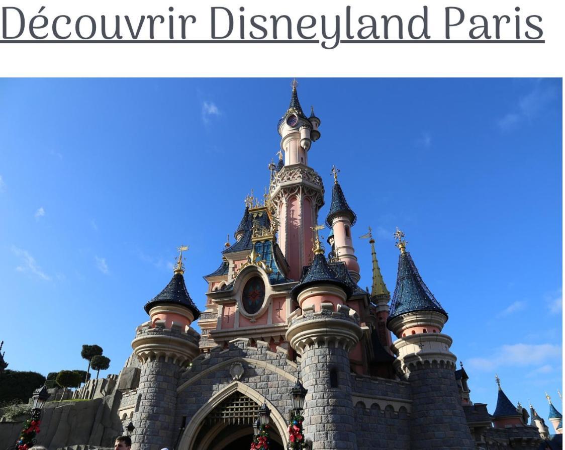 Proche Paris Et Disney-Calme Absolu Vaires-sur-Marne Exterior photo